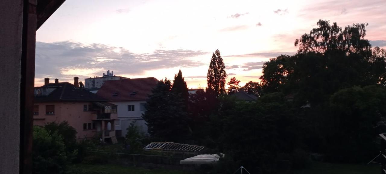 "Le Loft B Bg " Appartement Avec Terrasse G Friendly Strasbourg Exteriör bild